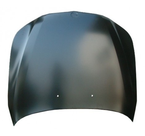 BMW S/5 E60 03- CAPO (CHAPA)